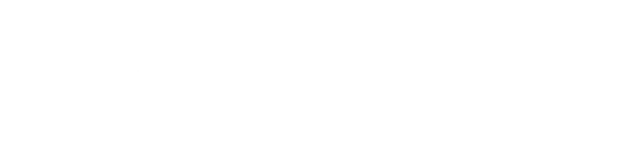 The Injury Expertz
